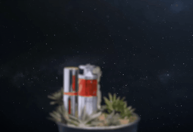 GIF.gif